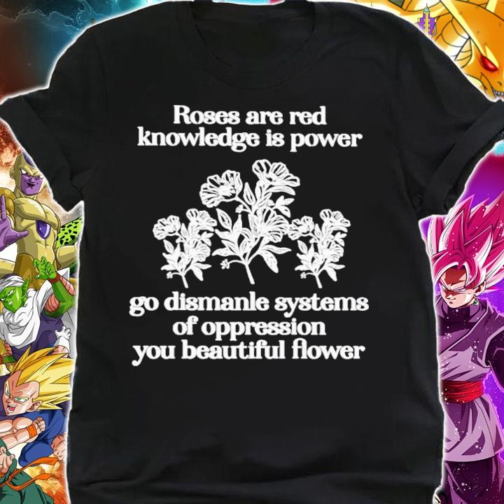 Roses Are Red Knowledge Is Power Go Dismanle Systems T-Shirt t-shirt shirt