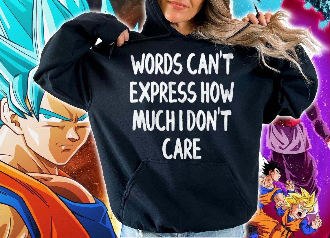Words Cant Express How Much I Dont Care Pullover T-shirt hoodie