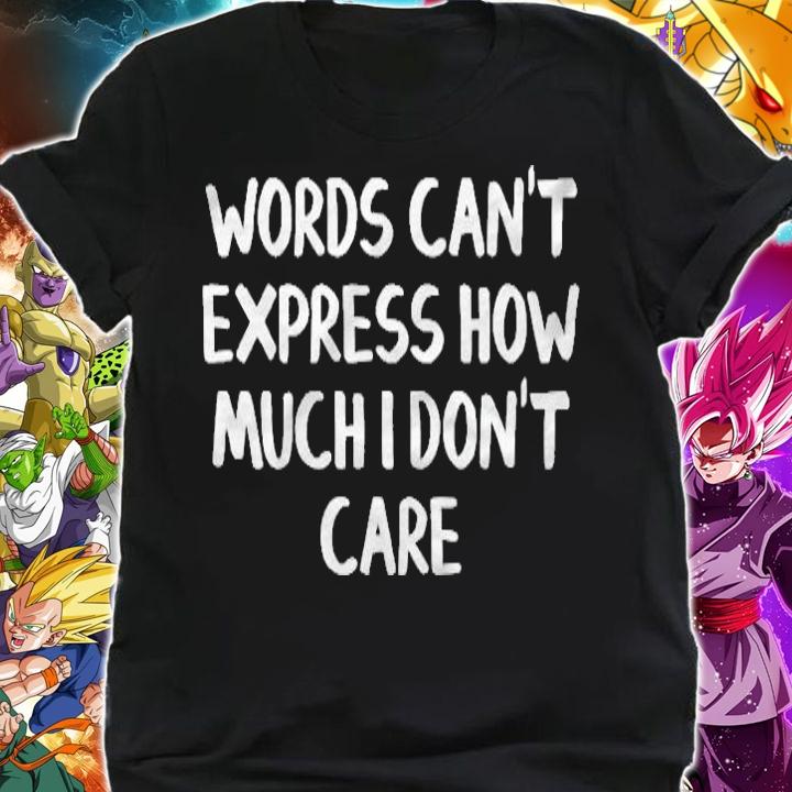 Words Cant Express How Much I Dont Care Pullover T-shirt shirt