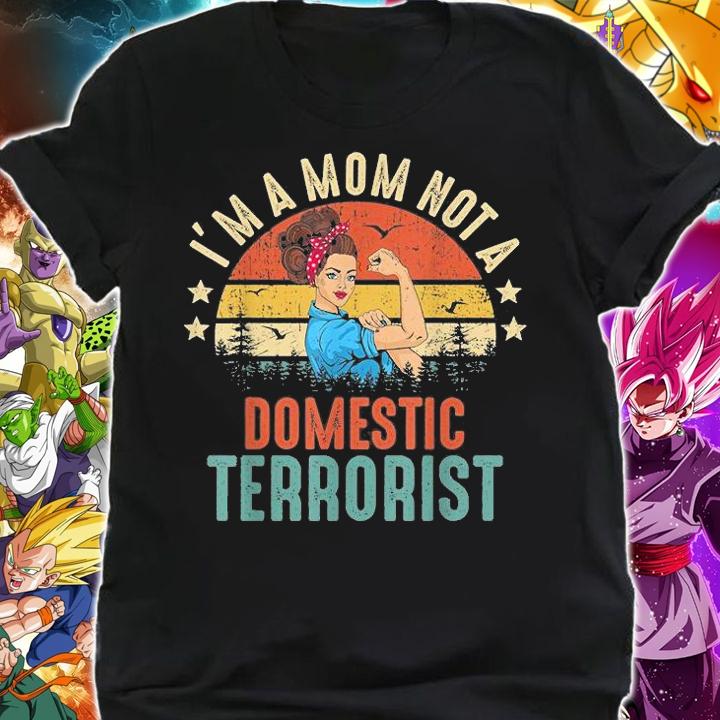I'm A Mom Not A Domestic Terrorist Vintage Rainbow T-Shirt shirt