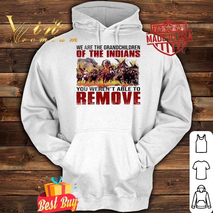 We are the grandchildren of the Indians you weren't able to remove shirt hoodie